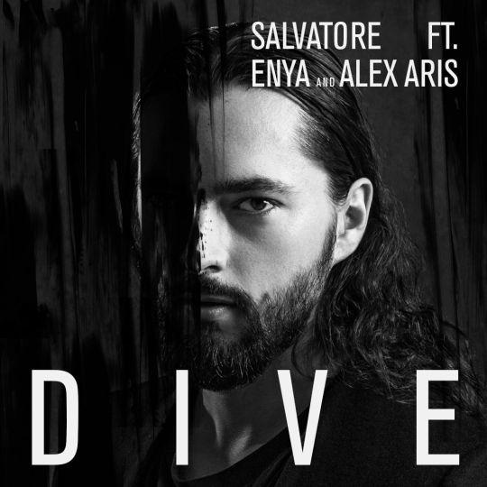 Coverafbeelding Salvatore feat. Enya & Alex Aris  - Dive