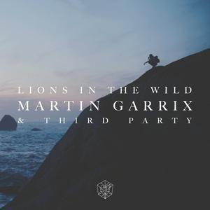 Coverafbeelding Martin Garrix & Third Party - Lions in the wild