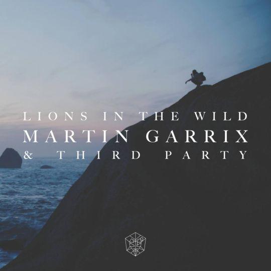 Coverafbeelding Lions In The Wild - Martin Garrix & Third Party