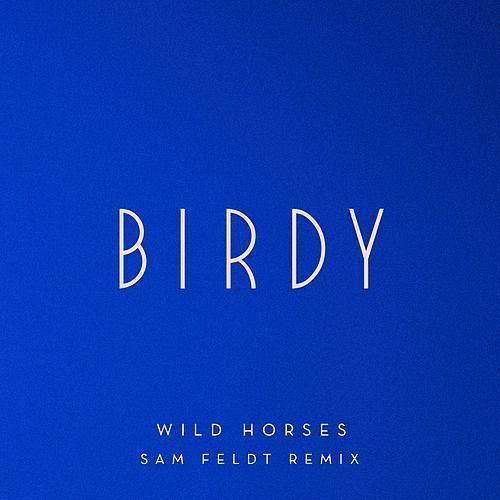Coverafbeelding Birdy - Wild horses (Sam Feldt remix)