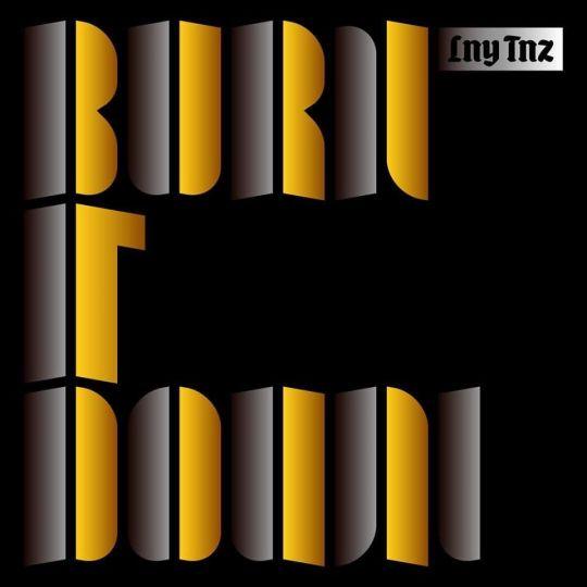 Coverafbeelding Lny Tnz - Burn it down