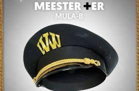 Coverafbeelding Mula B - Meester plusser