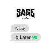 Coverafbeelding Sage The Gemini - Now and later