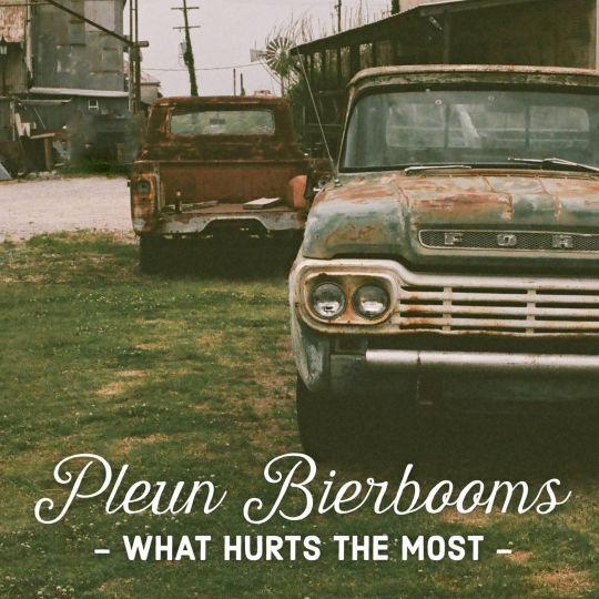 Coverafbeelding Pleun Bierbooms - What hurts the most