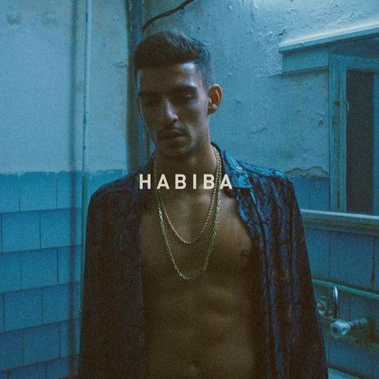 Coverafbeelding Boef - Habiba