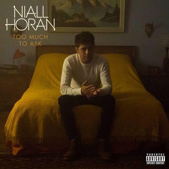 Coverafbeelding Niall Horan - Too much to ask
