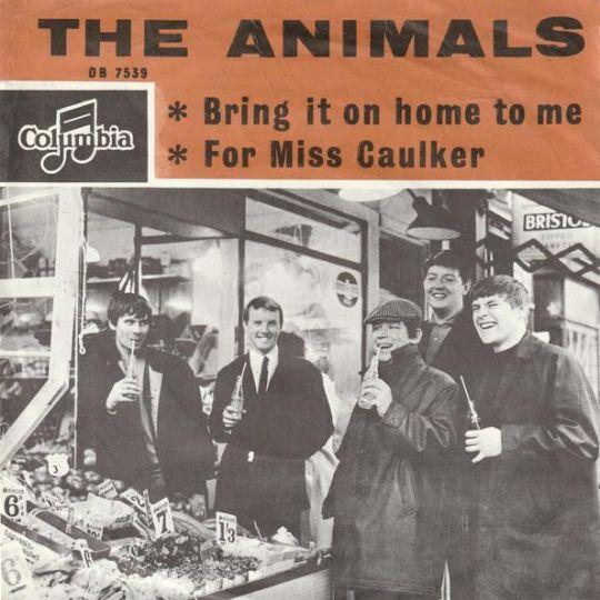 Coverafbeelding Bring It On Home To Me - The Animals