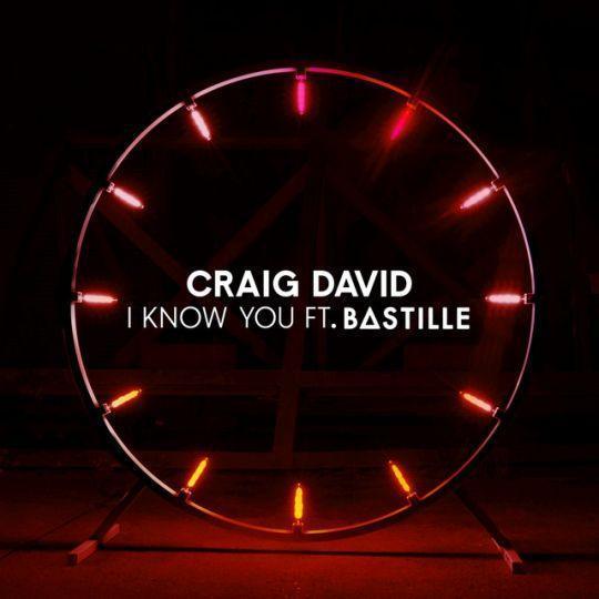Coverafbeelding Craig David feat. Bastille - I know you