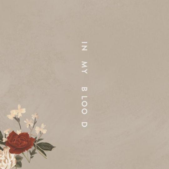Coverafbeelding Shawn Mendes - In my blood