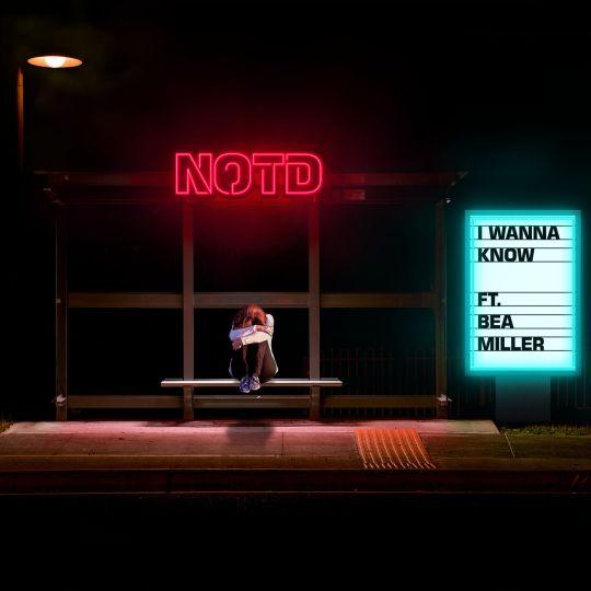 Notd ft. Bea Miller - I wanna know