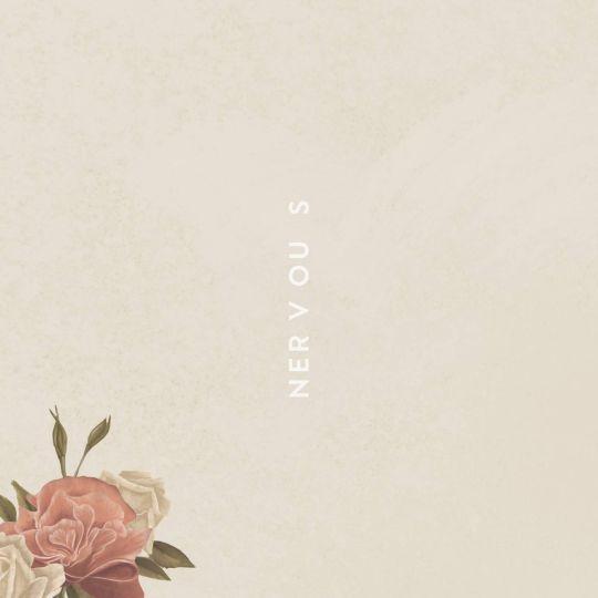 Coverafbeelding Shawn Mendes - Nervous