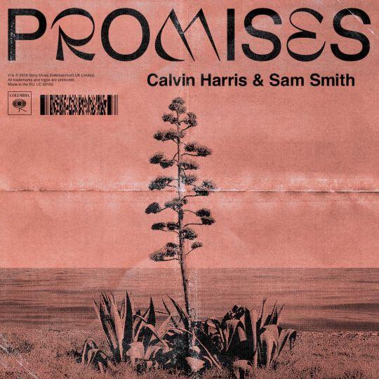 Coverafbeelding Calvin Harris & Sam Smith - Promises