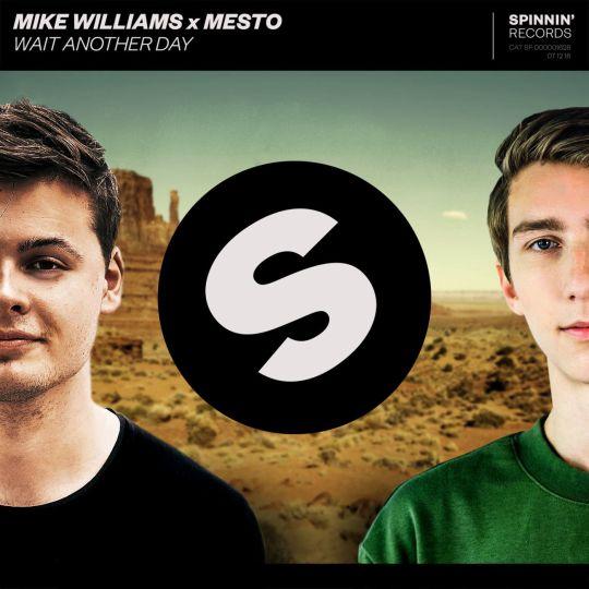 Coverafbeelding Wait Another Day - Mike Williams X Mesto