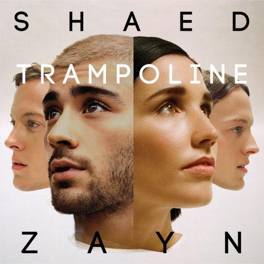 Coverafbeelding Shaed & Zayn - Trampoline