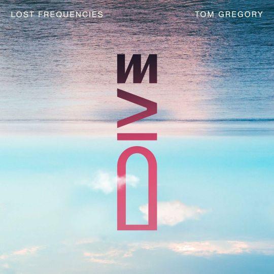 Coverafbeelding Lost Frequencies & Tom Gregory - Dive