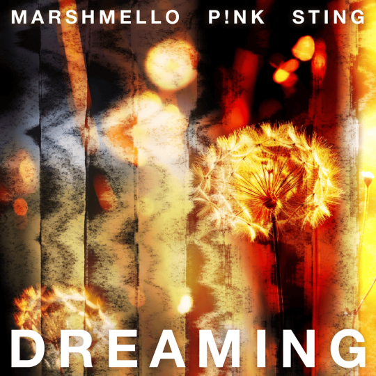 Coverafbeelding Marshmello, P!nk & Sting - Dreaming