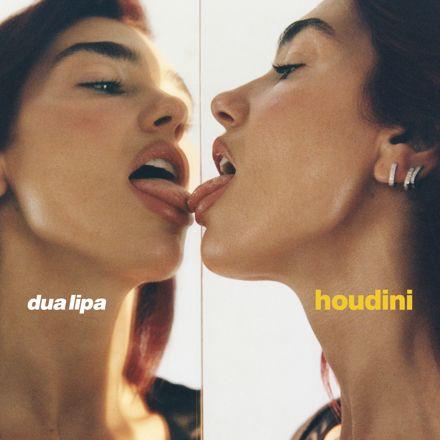 Coverafbeelding Dua Lipa - Houdini