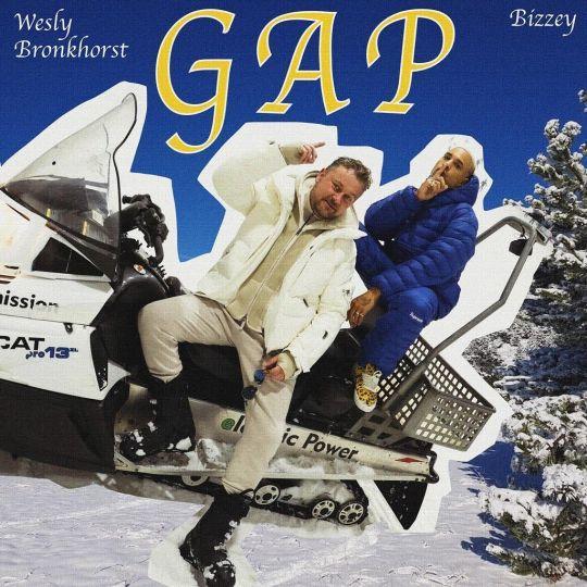 Coverafbeelding Gap - Wesly Bronkhorst & Bizzey