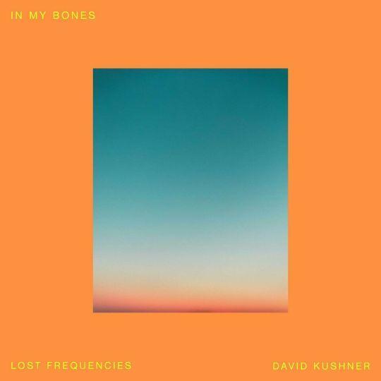 Coverafbeelding Lost Frequencies & David Kushner - In My Bones