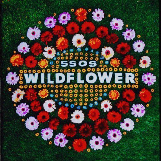 Coverafbeelding Wildflower - 5Sos