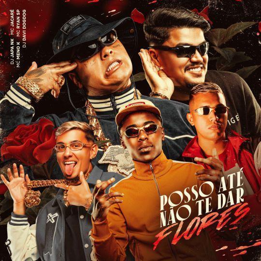 Coverafbeelding DJ Japa NK, MC Jacaré, MC Meno K & MC Ryan SP feat. DJ Davi Dogdog - Posso Até Não 