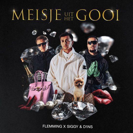 Coverafbeelding Flemming x Siggy & D1ns - Meisje Uit Het Gooi