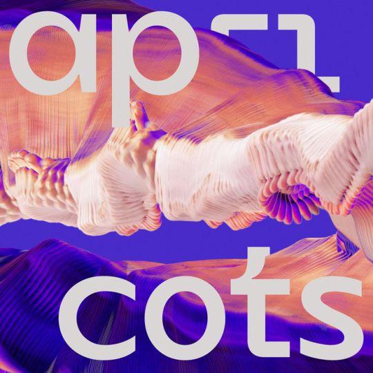 Coverafbeelding Bicep - Apricots