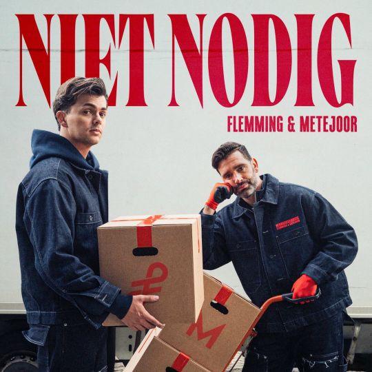 Coverafbeelding Niet Nodig - Flemming & Metejoor