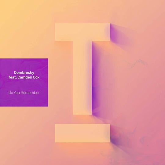 Coverafbeelding Dombresky feat. Camden Cox - Do You Remember