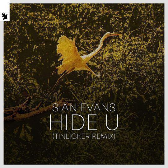 Coverafbeelding Sian Evans - Hide U (Tinlicker Remix)