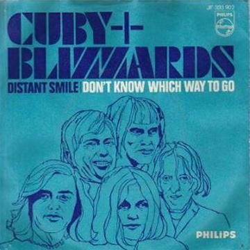 Coverafbeelding Cuby + Blizzards - Distant Smile