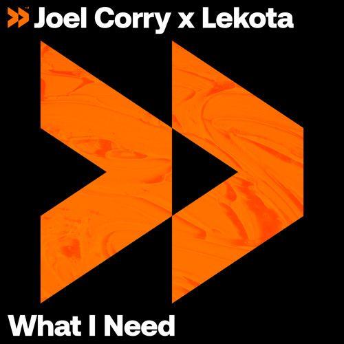 Coverafbeelding Joel Corry x Lekota - What I Need
