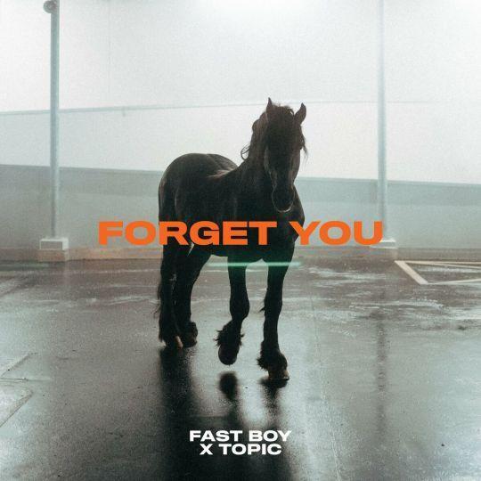 Coverafbeelding Fast Boy x Topic - Forget You