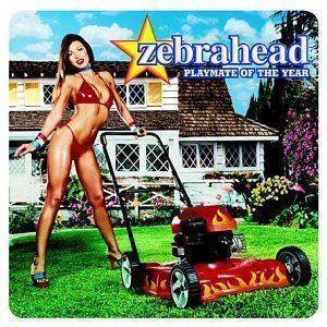 Coverafbeelding Zebrahead - Playmate Of The Year