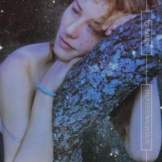 Coverafbeelding Professional Widow (It's Got To Be Big) - Tori Amos