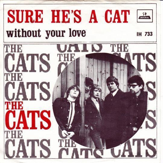 Coverafbeelding The Cats - Sure He's A Cat
