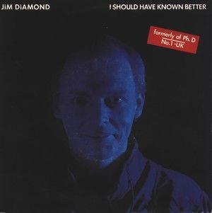 Jim Diamond - I Should Have Known Better