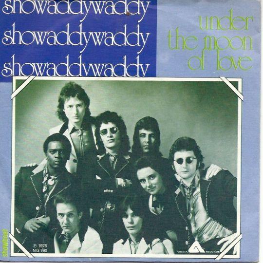 Coverafbeelding Showaddywaddy - Under The Moon Of Love