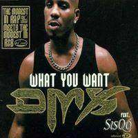 Coverafbeelding What You Want - Dmx Feat. Sisqó