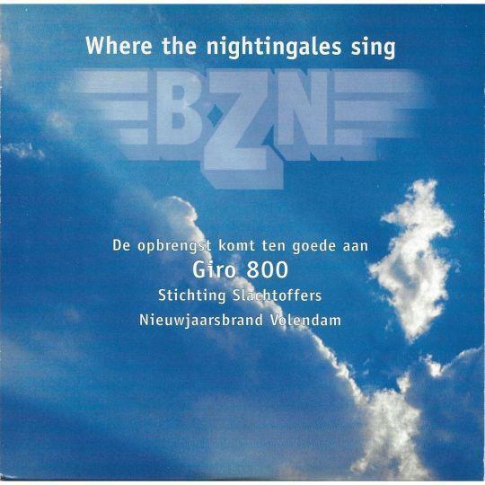 Coverafbeelding Where The Nightingales Sing - Bzn