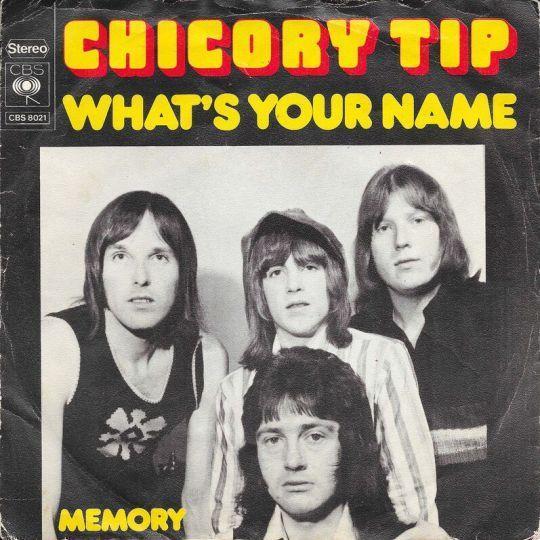 Coverafbeelding Chicory Tip - What's Your Name