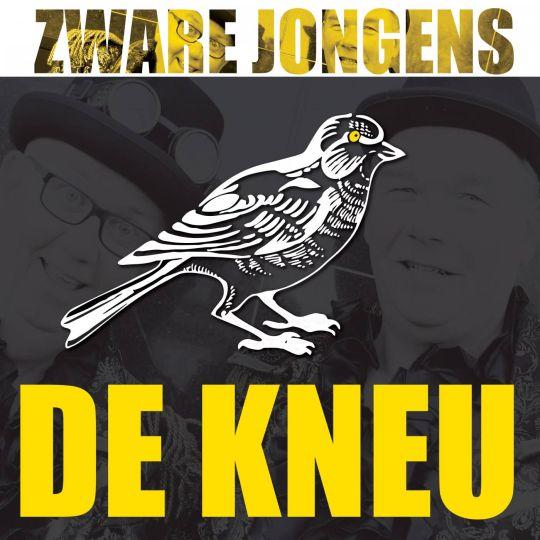 Coverafbeelding Zware Jongens - De kneu