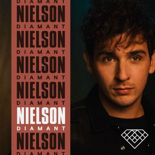 Coverafbeelding Nielson - Diamant