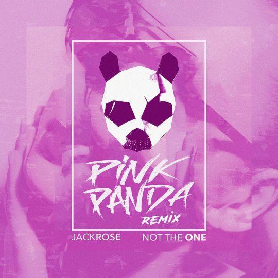 Coverafbeelding Jack Rose - Not the one (Pink Panda house mix)