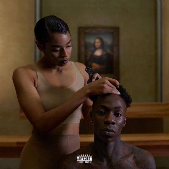 Coverafbeelding The Carters - Apeshit