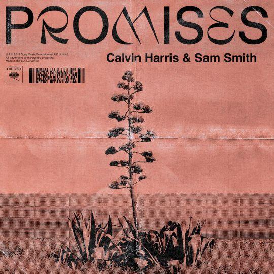 Coverafbeelding Calvin Harris & Sam Smith - Promises