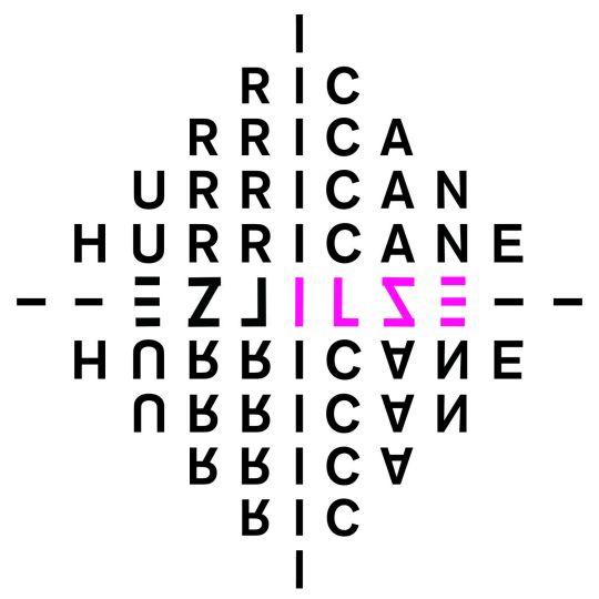 Coverafbeelding Hurricane - Ilse Delange
