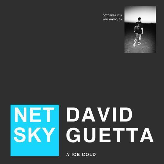 Coverafbeelding Netsky & David Guetta - Ice cold