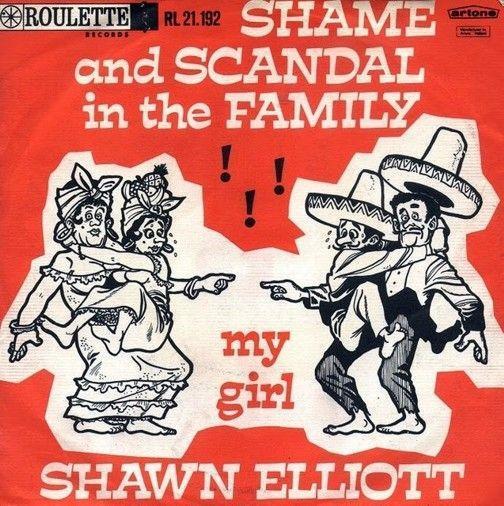 Coverafbeelding Shawn Elliott - Shame And Scandal In The Family!!!