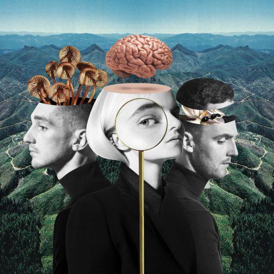 Coverafbeelding Clean Bandit feat. Ellie Goulding - Mama
